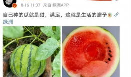 瓜吃瓜娱乐圈,娱乐圈那些事儿