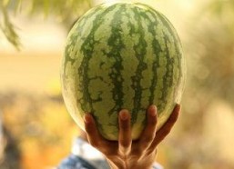 娱乐圈可以吃大瓜,揭秘明星幕后真相