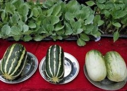 娱乐吃瓜壁纸高清图,一图览尽娱乐圈风云变幻