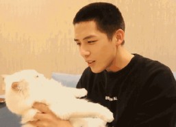 娱乐圈吃瓜爆料王安宇,娱乐圈幕后真相大曝光