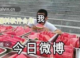 吃瓜群众视频合集大全,揭秘吃瓜群众视频合集大全